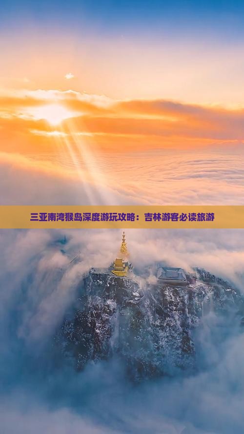 三亚南湾猴岛深度游玩攻略：吉林游客必读旅游