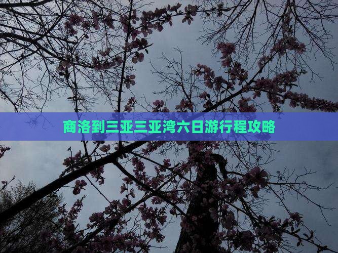 商洛到三亚三亚湾六日游行程攻略