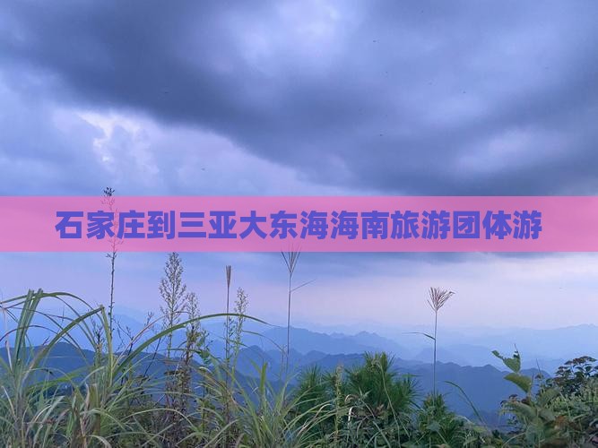 石家庄到三亚大东海海南旅游团体游