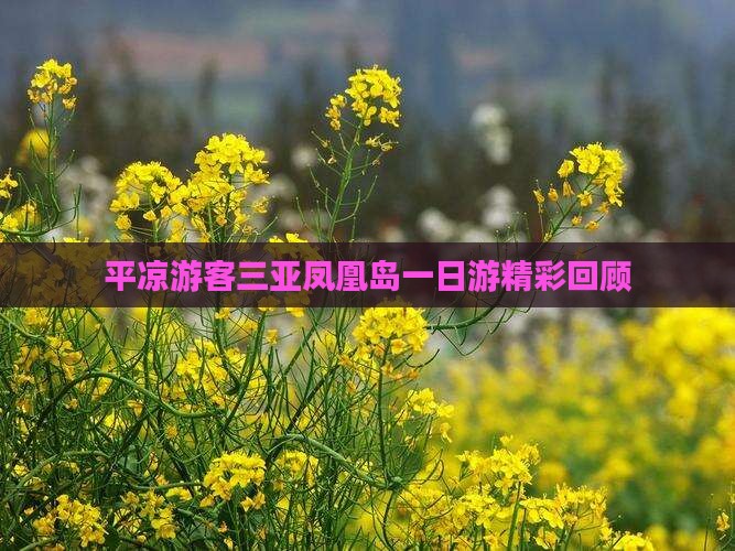 平凉游客三亚凤凰岛一日游精彩回顾
