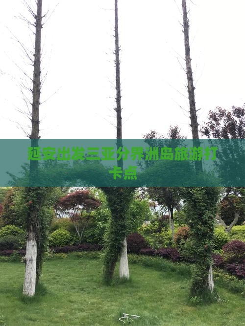 延安出发三亚分界洲岛旅游打卡点