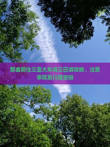 那曲前往三亚大东海三日游攻略、注意事项及行程安排