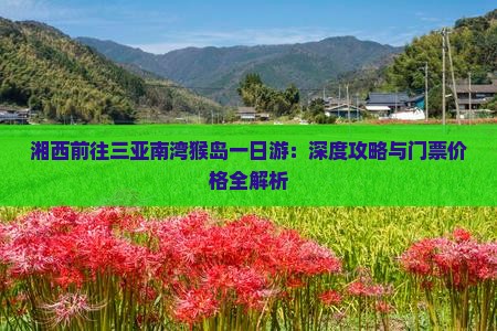 湘西前往三亚南湾猴岛一日游：深度攻略与门票价格全解析