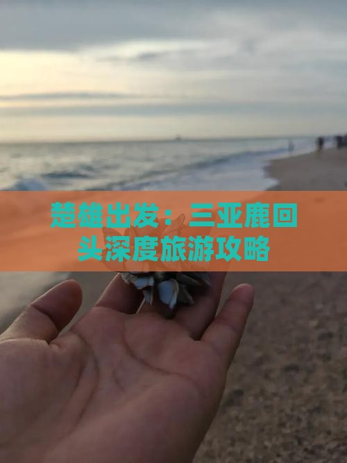 楚雄出发：三亚鹿回头深度旅游攻略