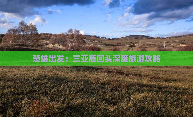 楚雄出发：三亚鹿回头深度旅游攻略