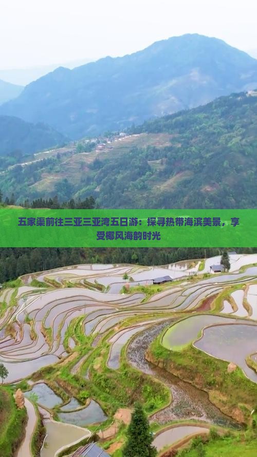 五家渠前往三亚三亚湾五日游：探寻热带海滨美景，享受椰风海韵时光