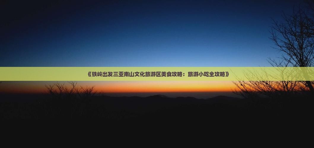 《铁岭出发三亚南山文化旅游区美食攻略：旅游小吃全攻略》