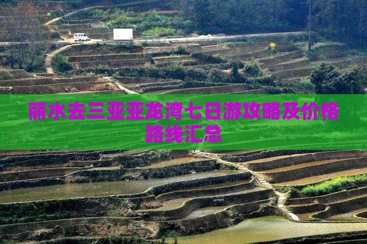 丽水去三亚亚龙湾七日游攻略及价格路线汇总