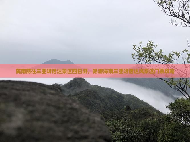 陇南前往三亚呀诺达景区四日游，畅游海南三亚呀诺达风景区门票攻略