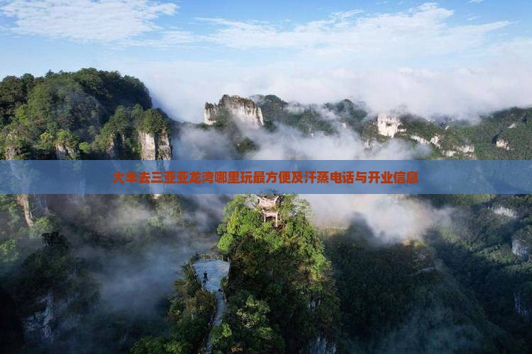 大丰去三亚亚龙湾哪里玩最方便及汗蒸电话与开业信息