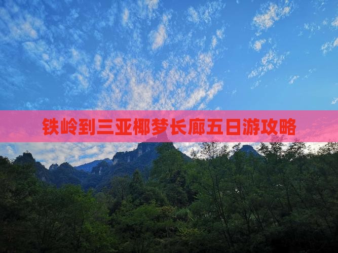铁岭到三亚椰梦长廊五日游攻略