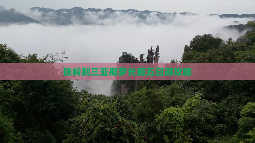 铁岭到三亚椰梦长廊五日游攻略
