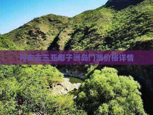 丹东去三亚椰子洲岛门票价格详情