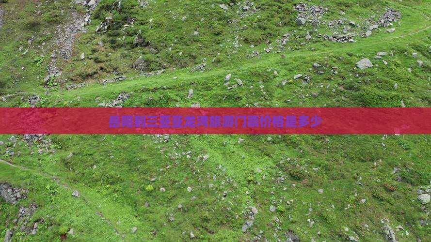 岳阳到三亚亚龙湾旅游门票价格是多少