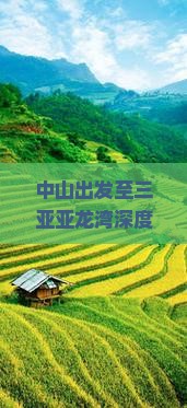 中山出发至三亚亚龙湾深度游攻略：交通、住宿、景点一览