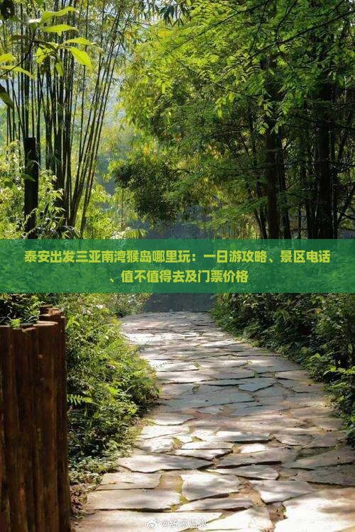 泰安出发三亚南湾猴岛哪里玩：一日游攻略、景区电话、值不值得去及门票价格