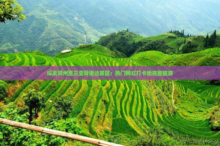 探索贺州至三亚呀诺达景区：热门网红打卡地完整旅游