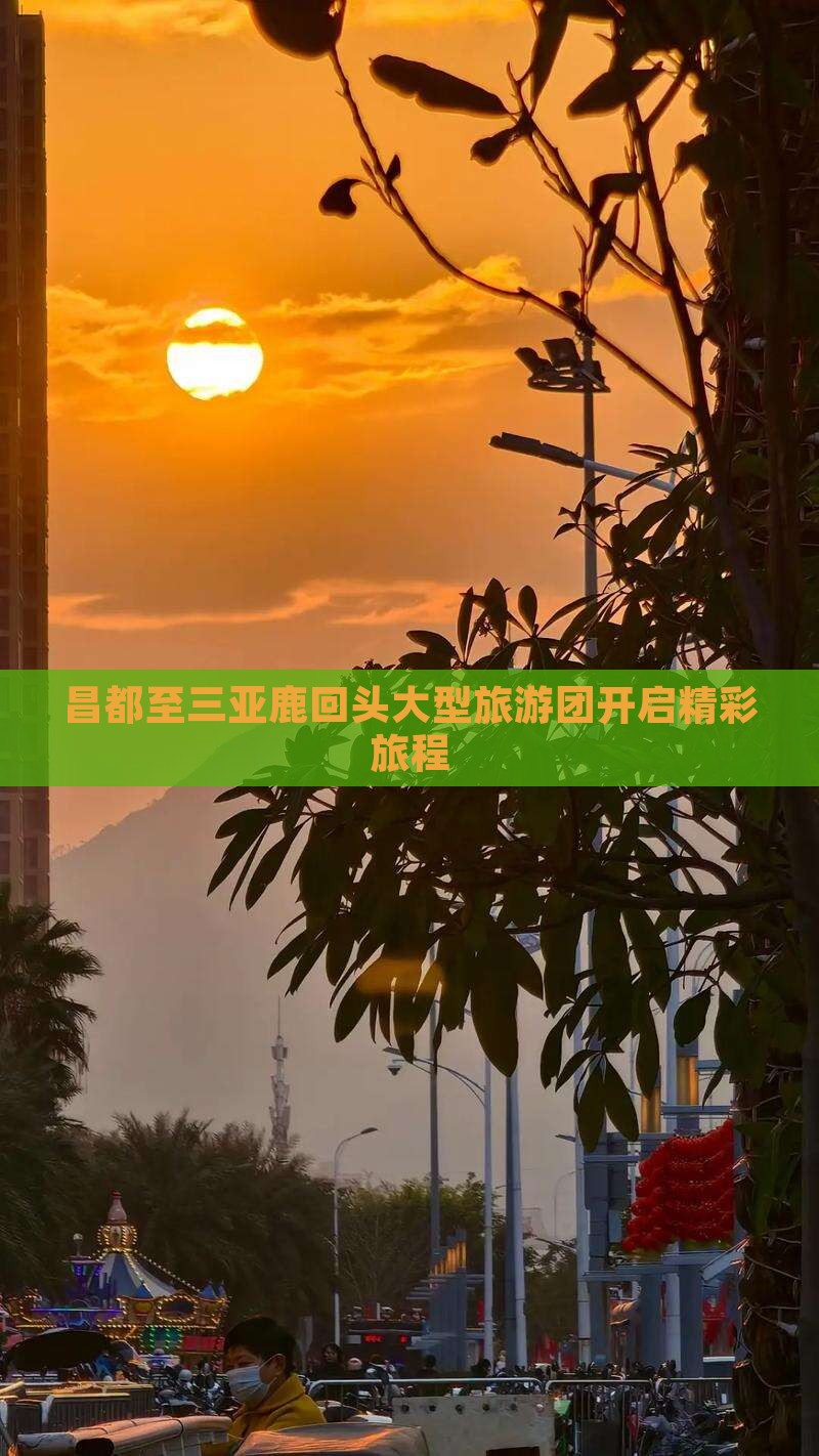 昌都至三亚鹿回头大型旅游团开启精彩旅程