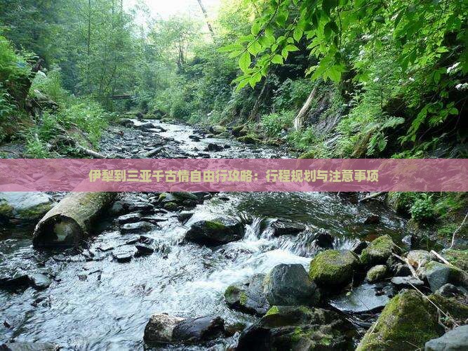 伊犁到三亚千古情自由行攻略：行程规划与注意事项