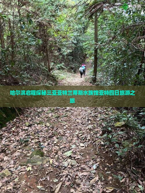哈尔滨启程探秘三亚亚特兰蒂斯水族馆亚特四日旅游之旅