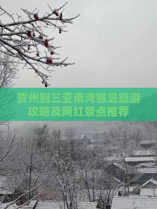 贺州到三亚南湾猴岛旅游攻略及网红景点推荐