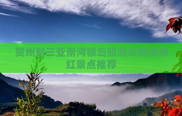 贺州到三亚南湾猴岛旅游攻略及网红景点推荐