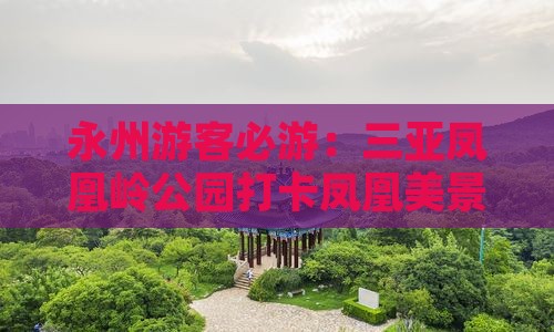 永州游客必游：三亚凤凰岭公园打卡凤凰美景