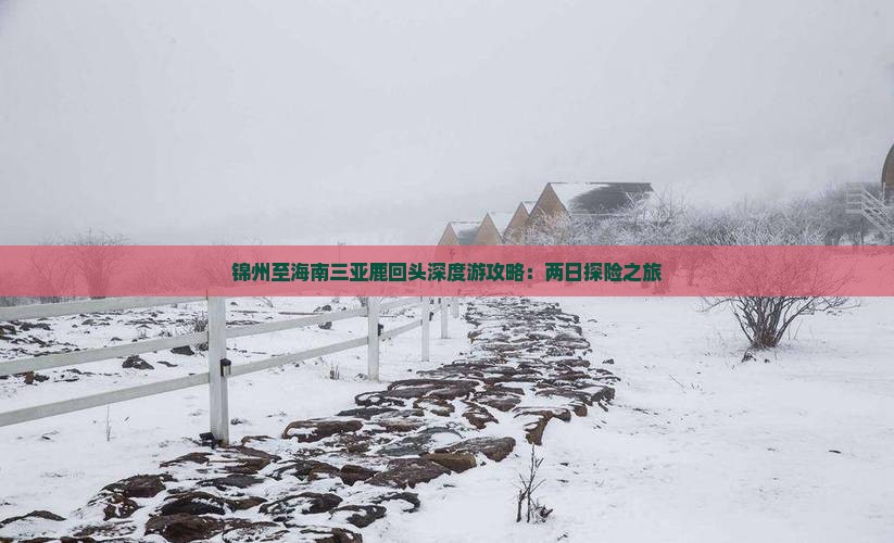 锦州至海南三亚鹿回头深度游攻略：两日探险之旅