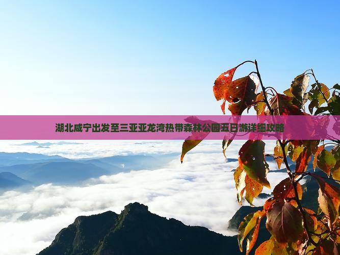 湖北咸宁出发至三亚亚龙湾热带森林公园五日游详细攻略