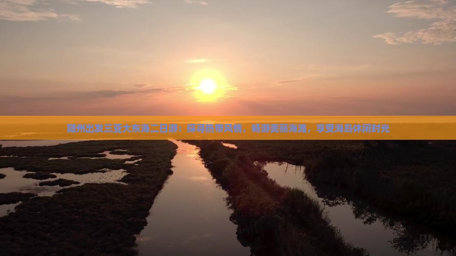 随州出发三亚大东海二日游：探寻热带风情，畅游美丽海滩，享受海岛休闲时光