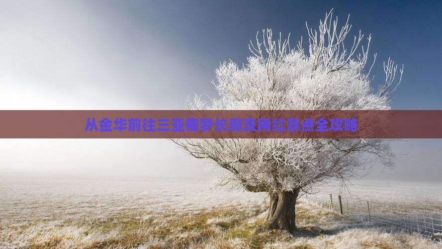 从金华前往三亚椰梦长廊及网红景点全攻略