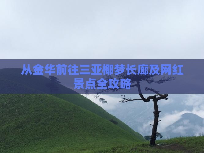从金华前往三亚椰梦长廊及网红景点全攻略