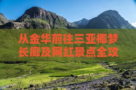 从金华前往三亚椰梦长廊及网红景点全攻略