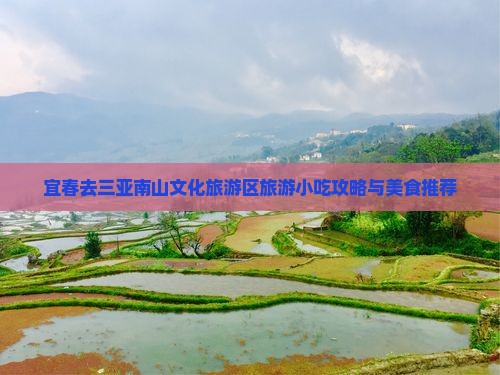 宜春去三亚南山文化旅游区旅游小吃攻略与美食推荐
