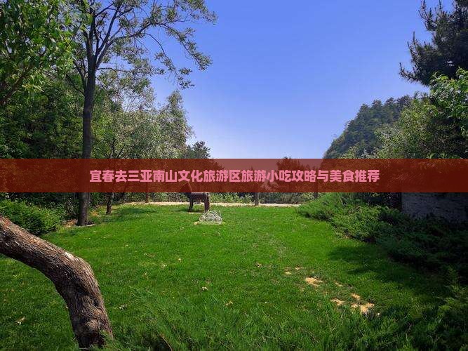 宜春去三亚南山文化旅游区旅游小吃攻略与美食推荐