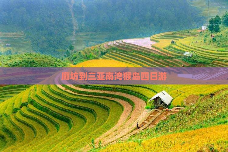 廊坊到三亚南湾猴岛四日游