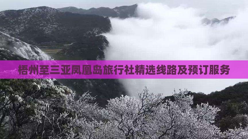 梧州至三亚凤凰岛旅行社精选线路及预订服务