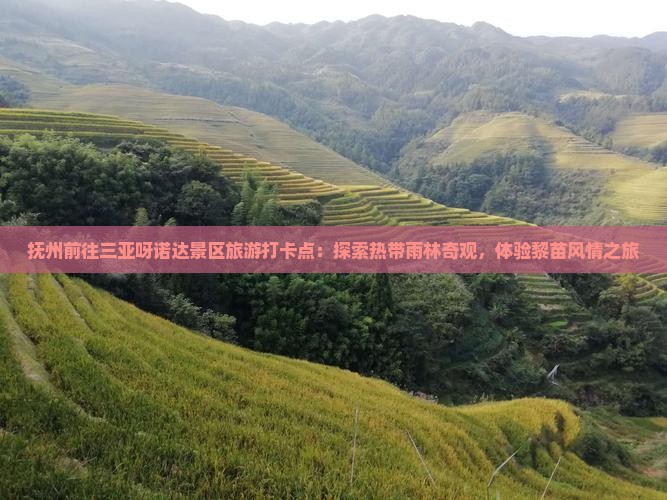 抚州前往三亚呀诺达景区旅游打卡点：探索热带雨林奇观，体验黎苗风情之旅