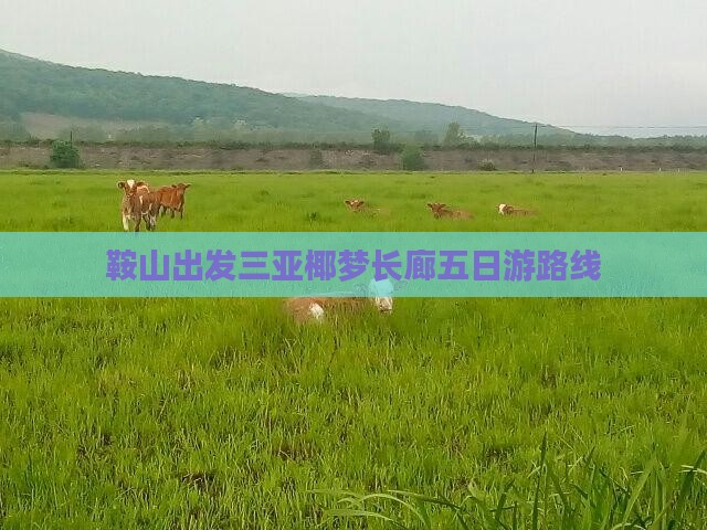 鞍山出发三亚椰梦长廊五日游路线