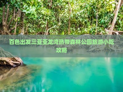 百色出发三亚亚龙湾热带森林公园旅游小吃攻略