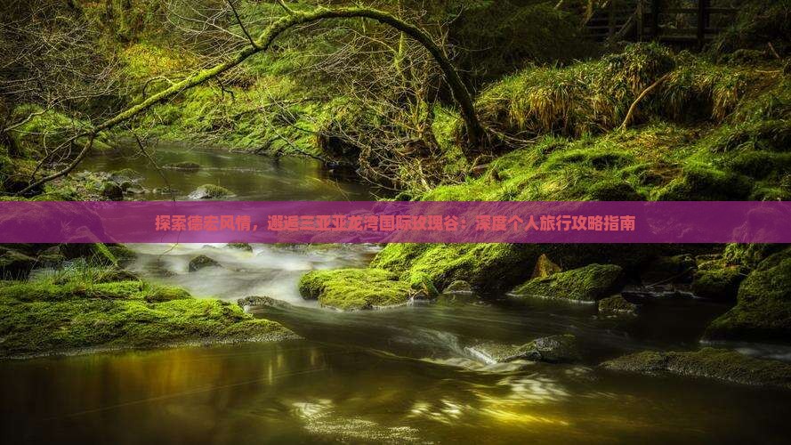 探索德宏风情，邂逅三亚亚龙湾国际玫瑰谷：深度个人旅行攻略指南