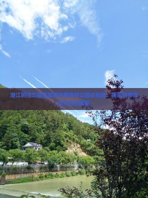 潜江前往三亚亚龙湾热带森林公园必玩地：探索热带奇观与自然奥秘