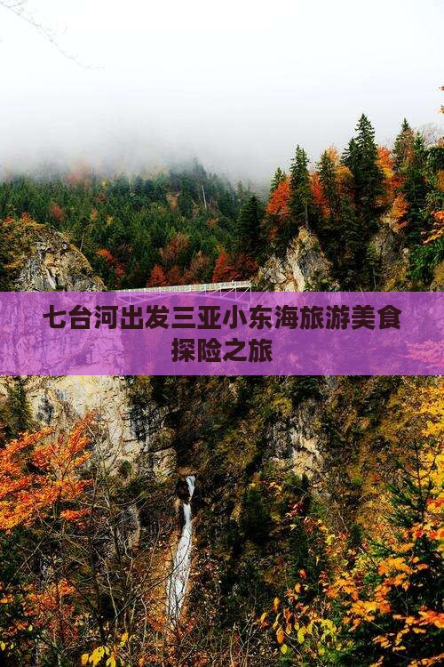 七台河出发三亚小东海旅游美食探险之旅