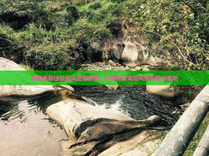 阿勒泰前往三亚三亚湾旅游：探寻冬日海岛风情与雪域奇观