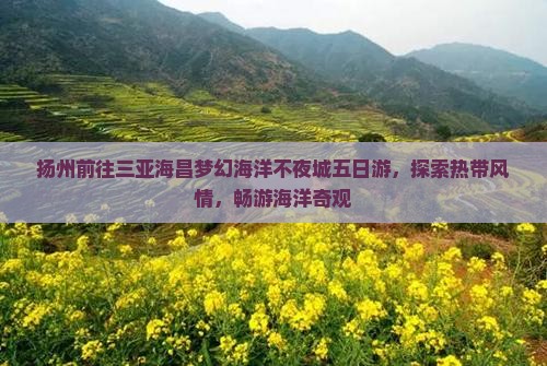 扬州前往三亚海昌梦幻海洋不夜城五日游，探索热带风情，畅游海洋奇观