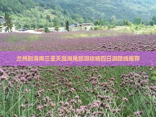 兰州出发三亚天涯海角四日游