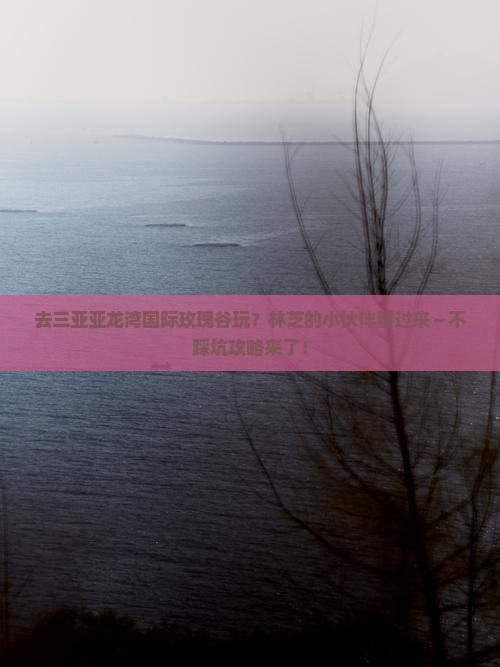 林芝前往三亚亚龙湾国际玫瑰谷必玩地