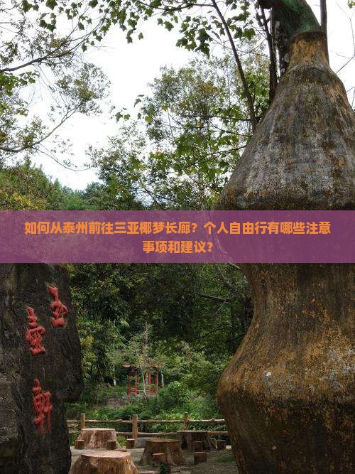 泰州前往三亚椰梦长廊个人游