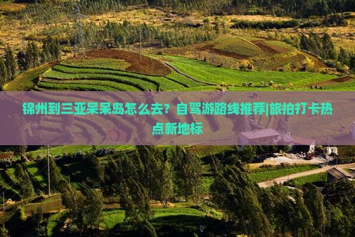 锦州出发三亚呆呆岛旅游打卡点