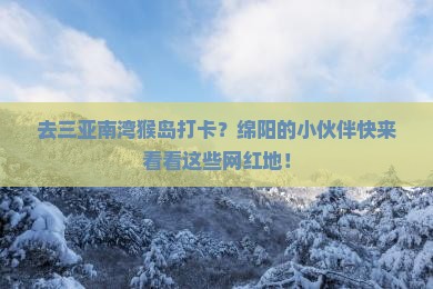 绵阳前往三亚南湾猴岛旅游网红地点